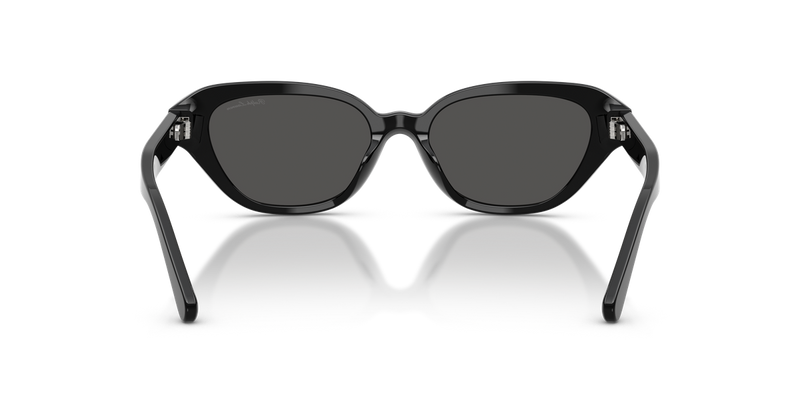 Ralph Lauren RL8244U in Shiny Black - Temple Detail