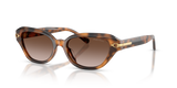 Havana / Gradient Brown (608913)