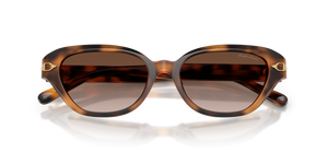 Havana / Gradient Brown (608913)