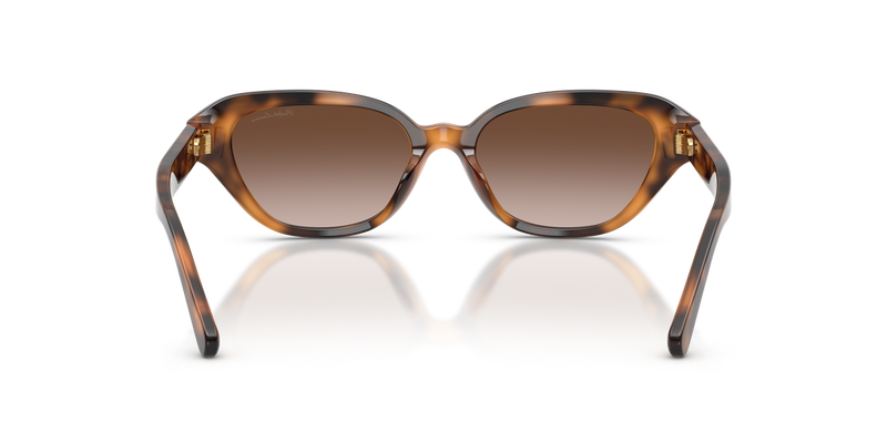 Ralph Lauren RL8244U in Havana - Alternate View