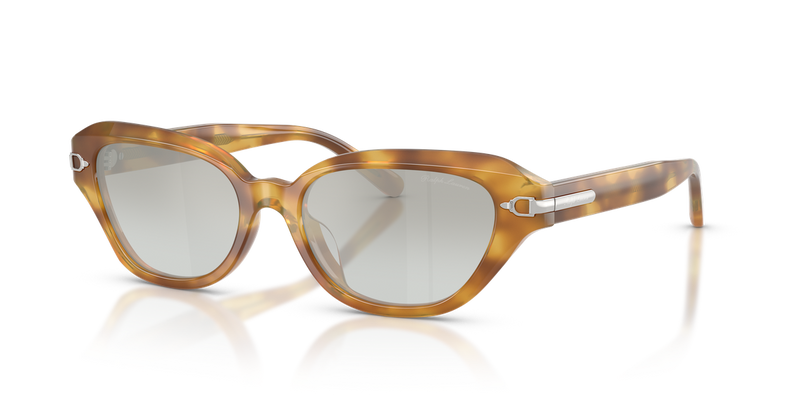 Ralph Lauren RL8244U in Shiny Tortoise Light Brown - Alternate View