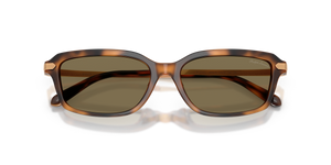 Havana / Brown (608973)