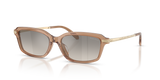 Transparent Dusty Brown / Grey Gradient Flash (637708)