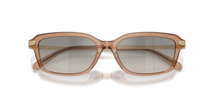 Transparent Dusty Brown / Grey Gradient Flash (637708)