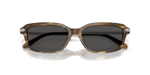 Brown Oystershell / Grey (637887)