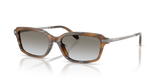 Amber Oystershell / Gradient Grey (637911)