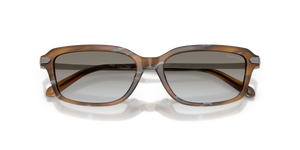Amber Oystershell / Gradient Grey (637911)