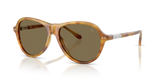 Shiny Tortoise Light Brown / Brown (618573)