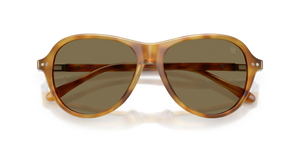 Shiny Tortoise Light Brown / Brown (618573)