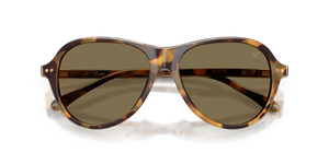 Spotty Havana / Brown (633973)
