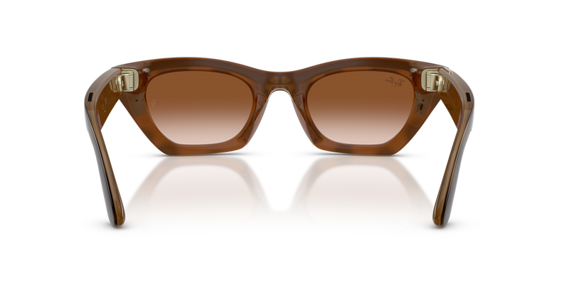 Ray-Ban Meta Zena (Gen 3) - Havana / Gradient Brown (690513)-variant-image