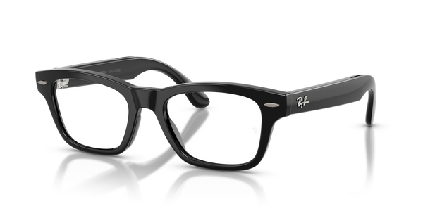 Ray-Ban Meta Audio Burbank