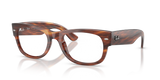 Striped Havana / Clear (2144)