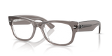 Transparent Grey / Clear (8111)