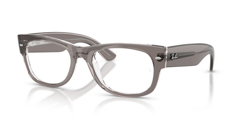 Ray-Ban MEGA WAYFARER II in Transparent Grey - Alternate View