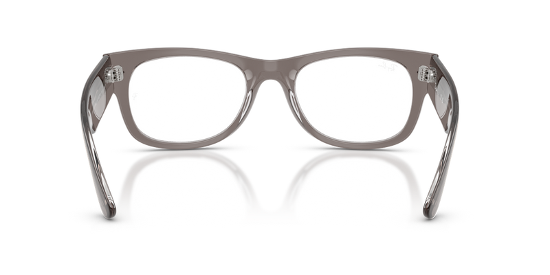 Ray-Ban MEGA WAYFARER II in Transparent Grey - Alternate View