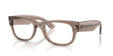 Transparent Taupe Beige / Clear (8457)