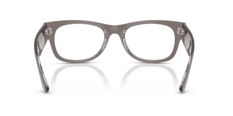 Ray-Ban MEGA WAYFARER II RX0832V in Transparent Grey / Clear (8111) - Alternate View