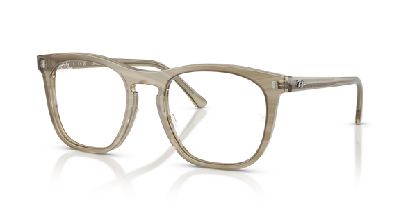 Ray-Ban RX2210VF