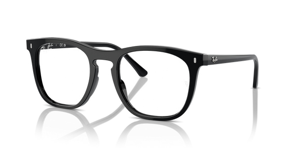 Ray-Ban RX2210V