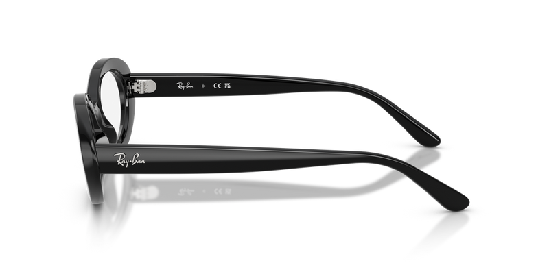 Ray-Ban RX2223VF in Black - Back View