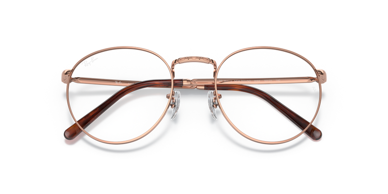 Ray-Ban NEW ROUND in Rose Gold - Alternate View