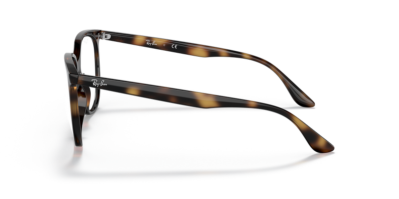 Ray-Ban RX4378V in Havana / Clear (2012) - Alternate View