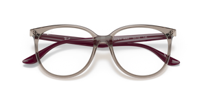 Transparent Grey / Clear (8083)