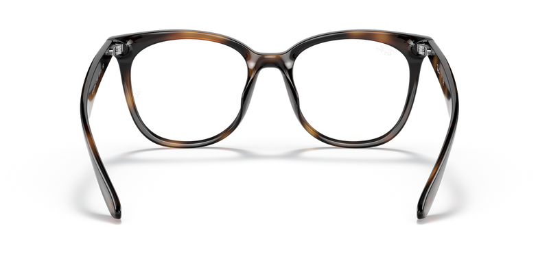 Ray-Ban RX4379VD in Havana - Alternate View