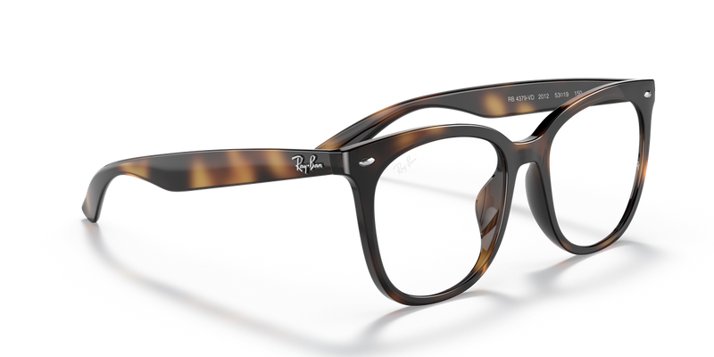 Ray-Ban RX4379VD in Havana - Alternate View