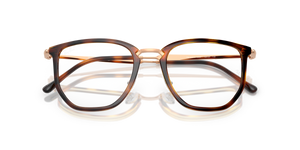 Striped Havana / Clear (5687)