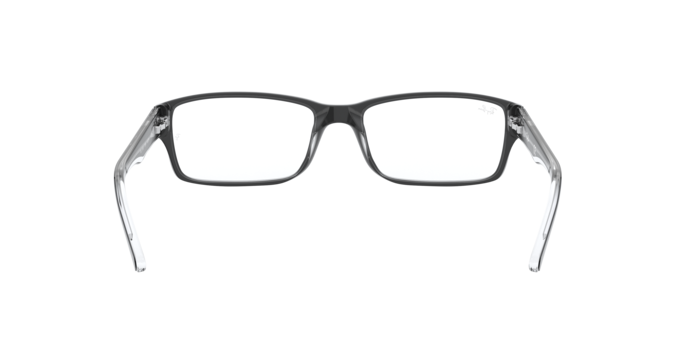 Ray-Ban RX5169 in Black On Transparent - Back View