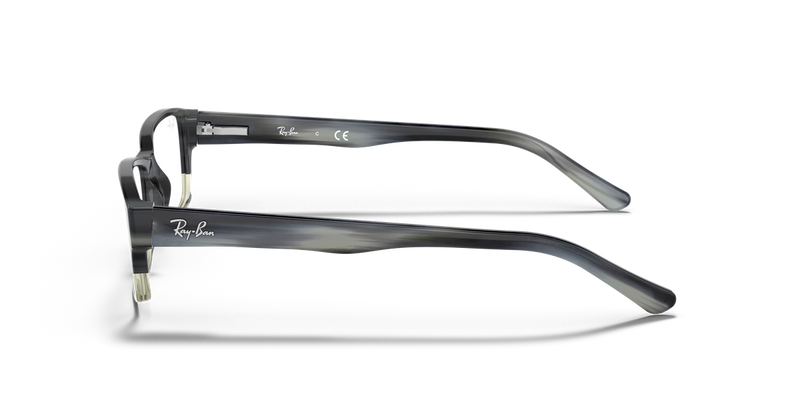 Ray-Ban RX5169 in Grey - Alternate View