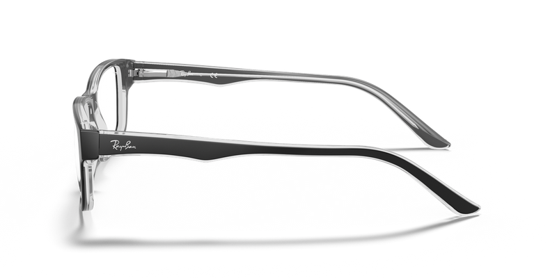 Ray-Ban RX5245 in Black On Transparent - Back View