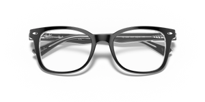 Black On Transparent / Clear (2034)