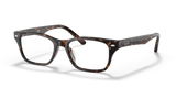 Dark Havana / Demo Lens (2012)