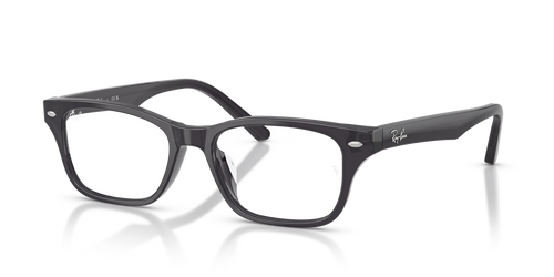 Transparent Dark Violet Grey / Demo Bio (5920)