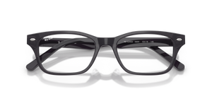 Transparent Dark Violet Grey / Demo Bio (5920)
