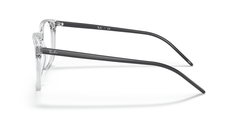 Ray-Ban RX5387 in Transparent - Alternate View