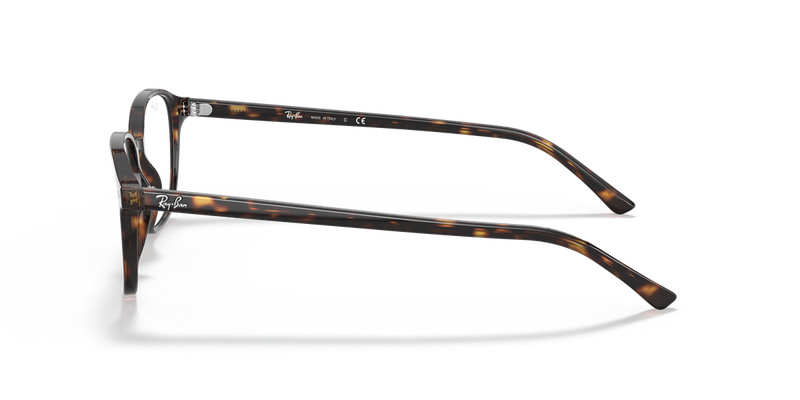 Ray-Ban LEONARD in Havana / Clear (2012) - Alternate View
