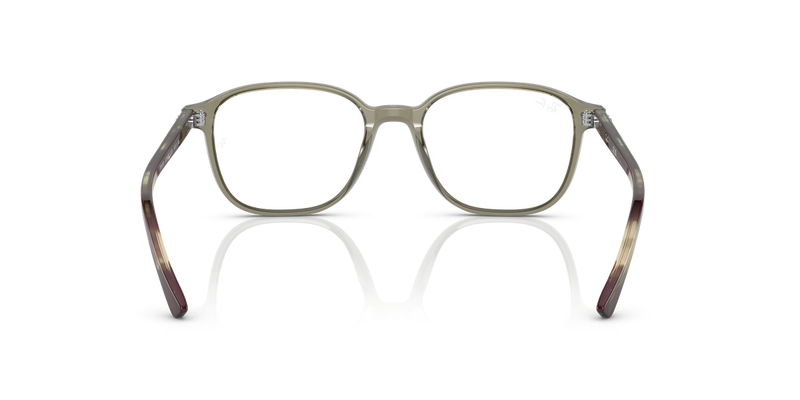 Ray-Ban LEONARD in Transparent Green / Clear (8178) - Alternate View