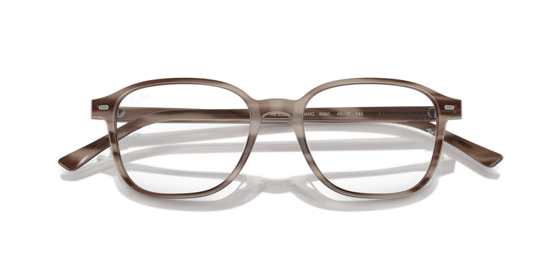 Ray-Ban LEONARD in Striped Grey / Clear (8360) - Alternate View