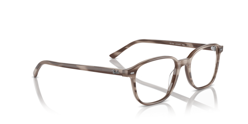 Ray-Ban LEONARD in Striped Grey / Clear (8360) - Alternate View