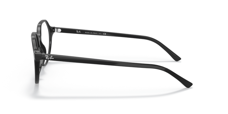 Ray-Ban THALIA in Black - Alternate View