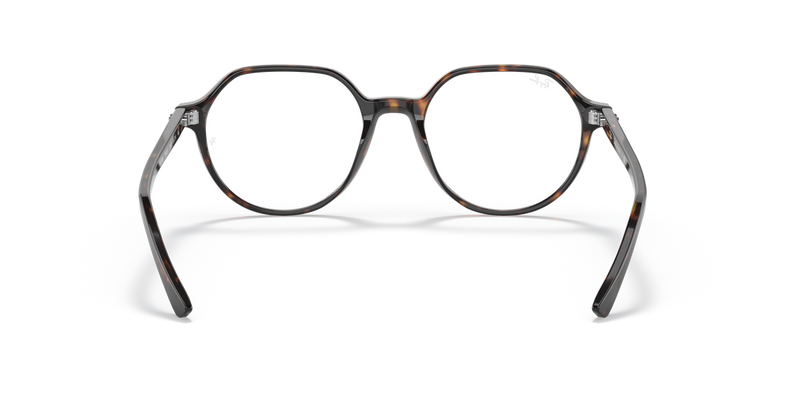 Ray-Ban THALIA in Havana - Alternate View