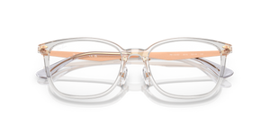 Transparent Grey / Clear (8416)