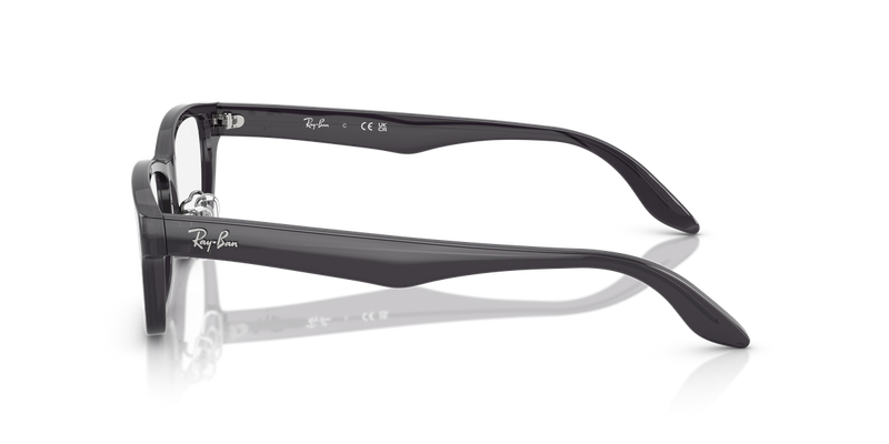 Ray-Ban RX5408D in Transparent Dark Gray - Alternate View