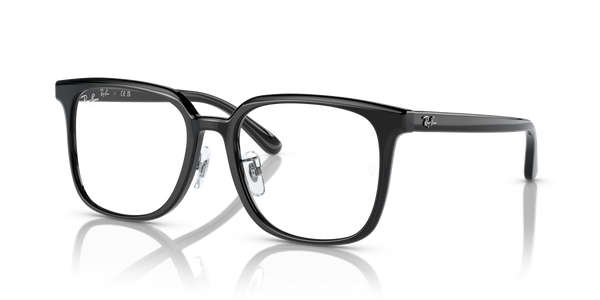 Ray-Ban RX5419D