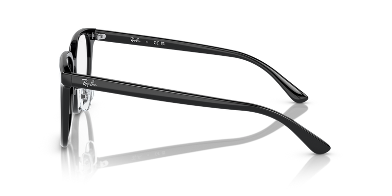Ray-Ban RX5419D in Black - Back View