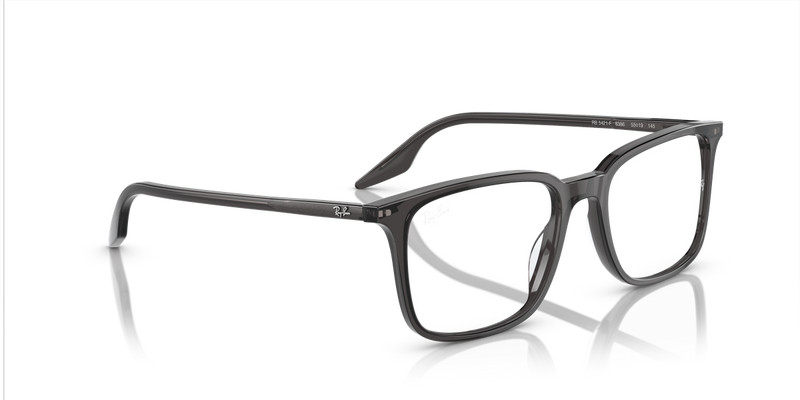 Ray-Ban RX5421F in Transparent Black / Clear (8386) - Alternate View